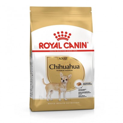 Chihuahua Adult 85