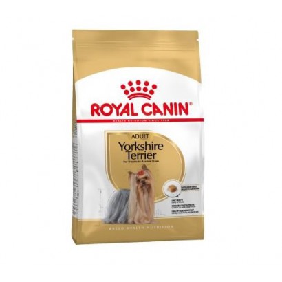 Yorkshire Terrier Adult 1,5 kg