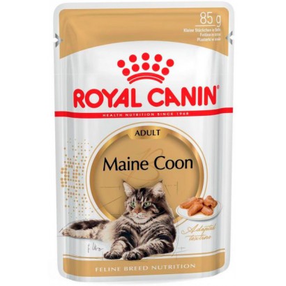 MAINECOON 85GR